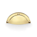 Raoul Cupboard Handle Cupboard Handle Alexander & Wilks Polished Brass 