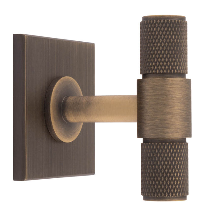 Knurled T-Bar on Backplate