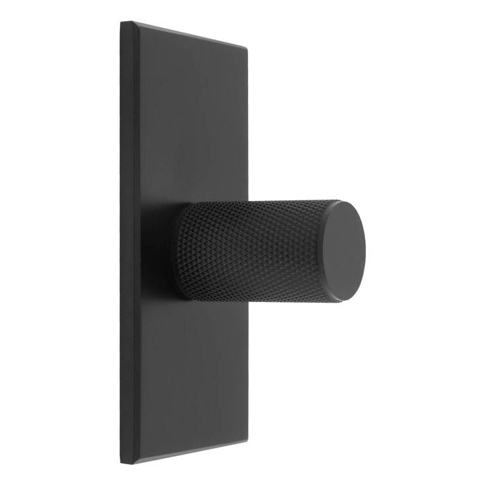 Knurled Cylinder Knob on Backplate