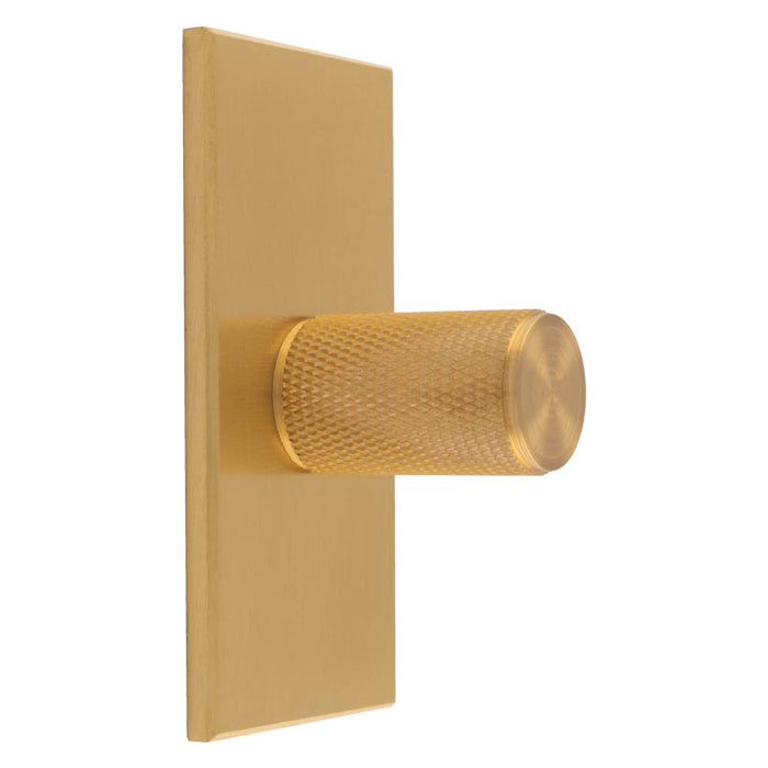 Knurled Cylinder Knob on Backplate