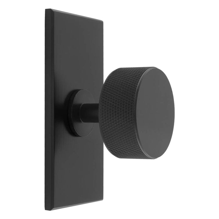 Knurled Radio Knob on Backplate
