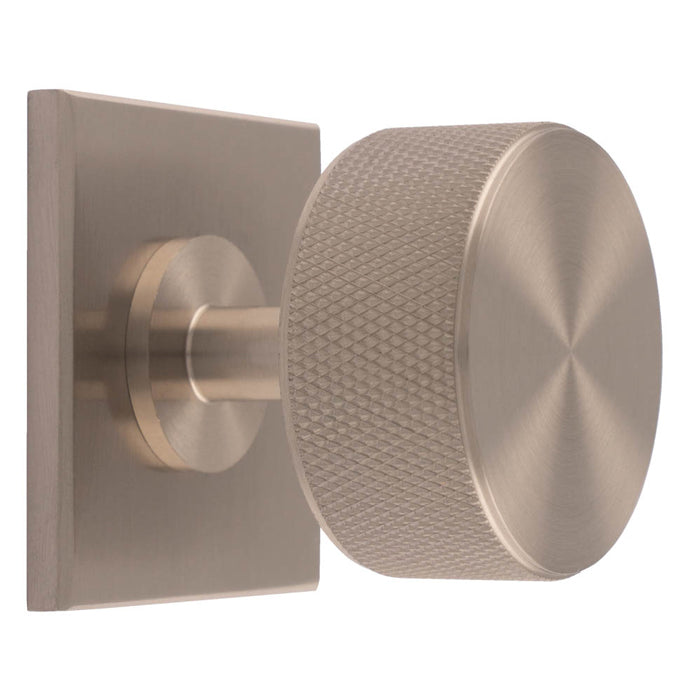 Knurled Radio Knob on Backplate
