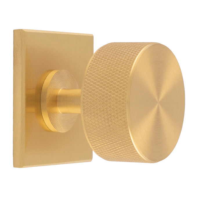 Knurled Radio Knob on Backplate