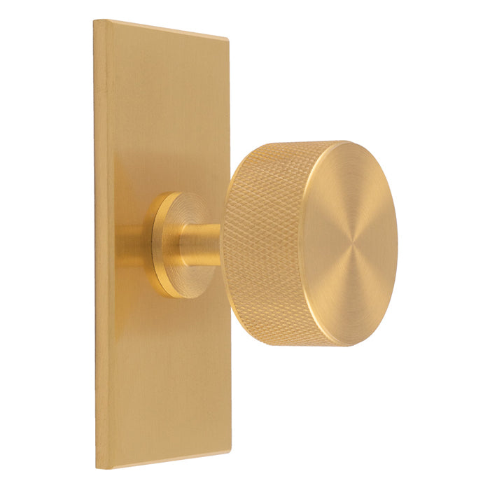 Knurled Radio Knob on Backplate