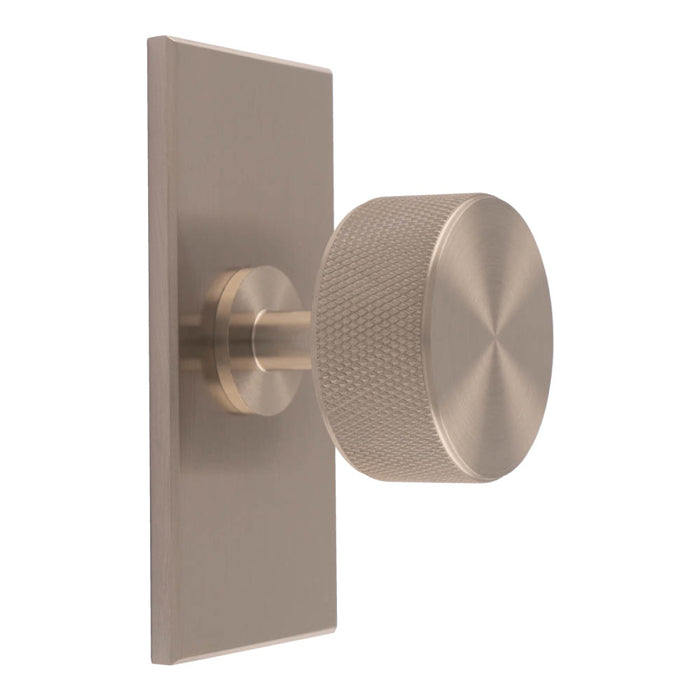 Knurled Radio Knob on Backplate