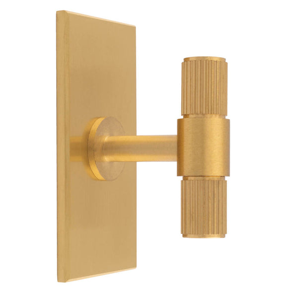 Lines T-Bar Knob on Backplate Satin Brass BP711SB76SB