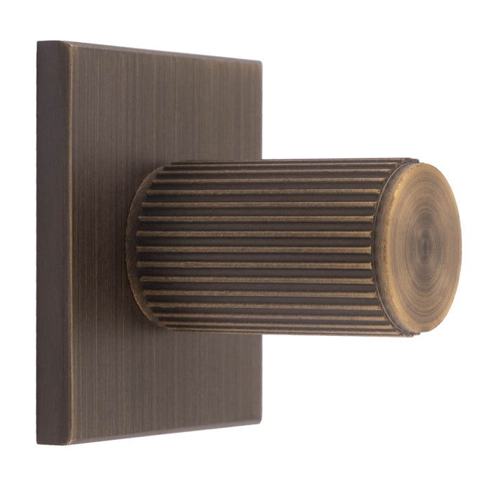 Lines Cylinder Knob on Backplate