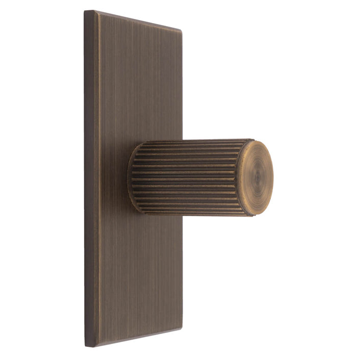Lines Cylinder Knob on Backplate