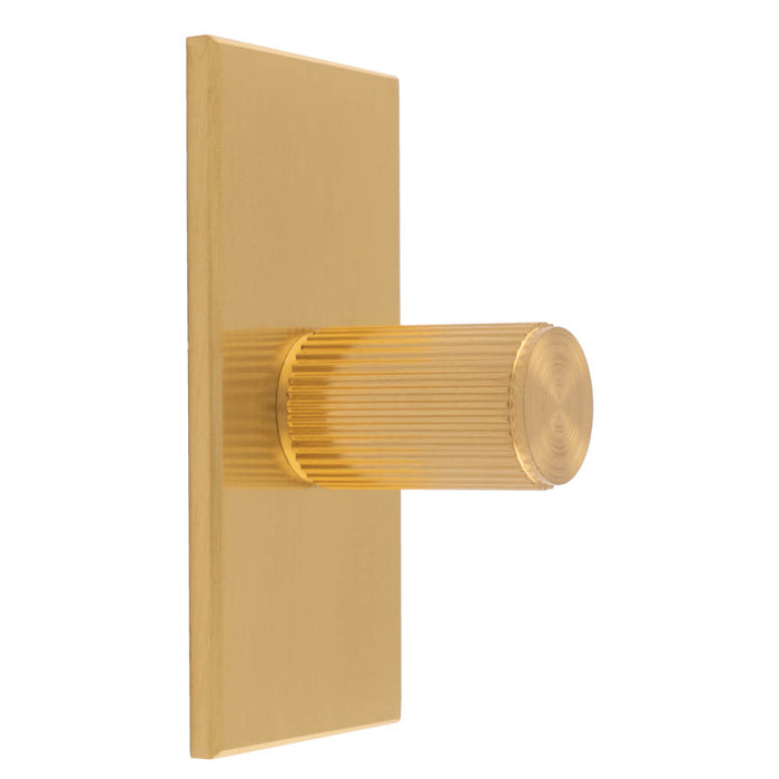 Lines Cylinder Knob on Backplate