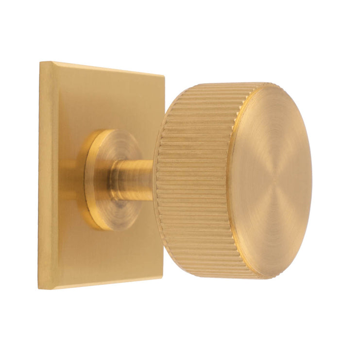 Lines Radio Knob on Backplate