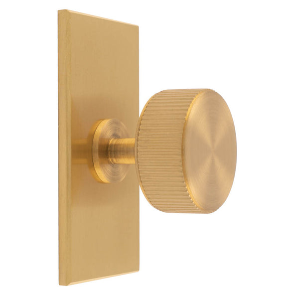 Lines Radio Knob on Backplate Satin Brass BP713SB76SB