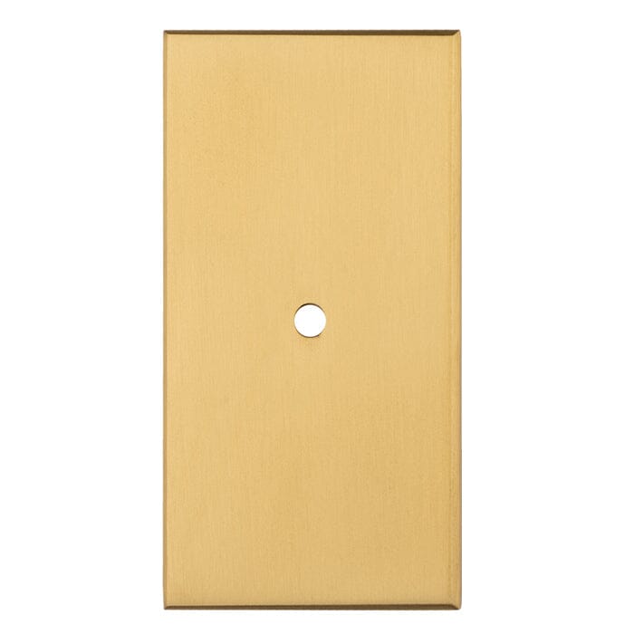 Rectangular Cupboard knob Backplate Knob on Backplate Carlisle Brass Satin Brass 