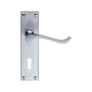 Contract Victorian Scroll Lever on Lock Backplate
