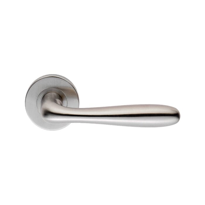 Lever on Sprung Rose