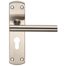 Steelworx Residential T Bar Lever on Euro Lock Backplate (Latch & Hinges Included) Lever On Backplate Eurospec Satin Stainless Steel 