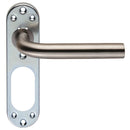 Straight Lever on Inner Backplate (Latch & Hinges Included) Lever On Backplate Eurospec Satin Stainless Steel 