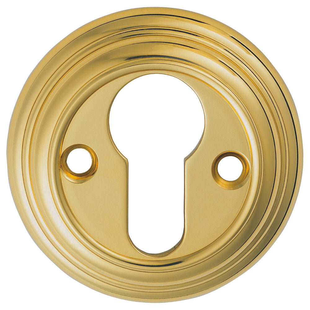 Delamain Euro Profile Escutcheon