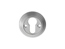 Delamain Euro Profile Escutcheon