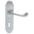 Oakley Lever on Lock Backplate (Latch & Hinges Included)