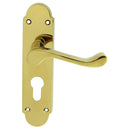 Oakley Lever on Euro Lock Backplate (Latch & Hinges Included)