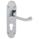 Oakley Lever on Euro Lock Backplate (Latch & Hinges Included)