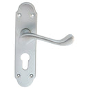 Oakley Lever on Euro Lock Backplate (Latch & Hinges Included)