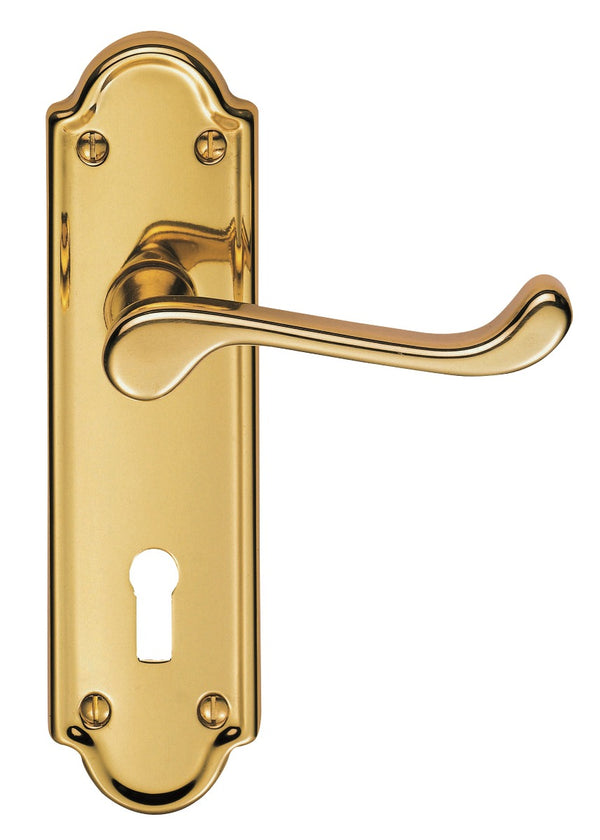 Ashtead Lever on Lock Backplate