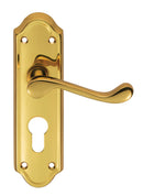 Ashtead Lever on Euro Lock Backplate Lever On Backplate Carlisle Brass Polished Brass 