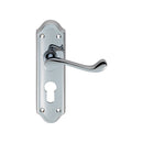 Ashtead Lever on Euro Lock Backplate (Latch & Hinges Included)