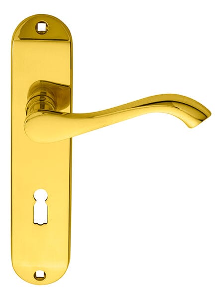 Andros Lever on Lock Backplate Lever On Backplate Carlisle Brass Polished Brass 
