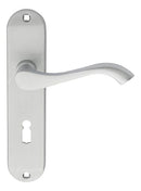 Andros Lever on Lock Backplate (Latch & Hinges Included)