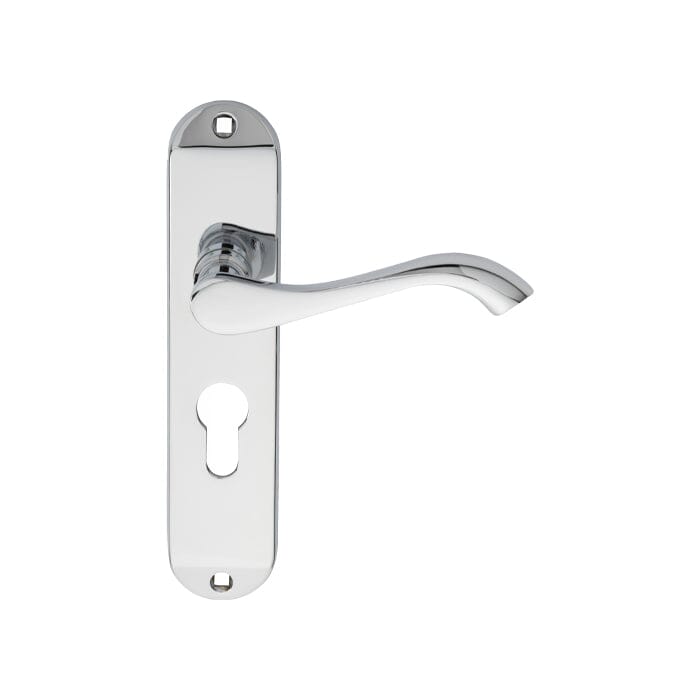 Andros Lever on Euro Lock Backplate (Latch & Hinges Included)