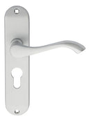 Andros Lever on Euro Lock Backplate (Latch & Hinges Included)