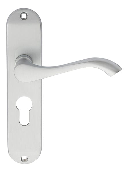 Andros Lever on Euro Lock Backplate (Latch & Hinges Included)
