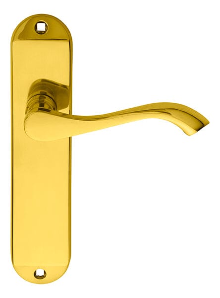 Andros Lever on Latch Backplate Lever On Backplate Carlisle Brass Polished Brass 