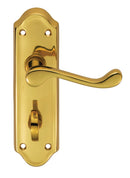 Ashtead Lever on WC Backplate Lever On Backplate Carlisle Brass Polished Brass 