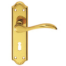 Madrid Lever on Lock Backplate (Latch & Hinges Included)