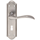 Madrid Lever on Lock Backplate (Latch & Hinges Included)