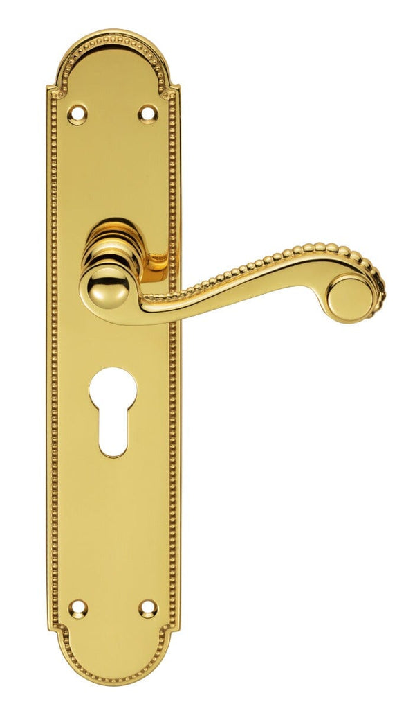 Chesham Lever on Euro Lock Long Backplate Lever On Backplate Carlisle Brass Polished Brass 