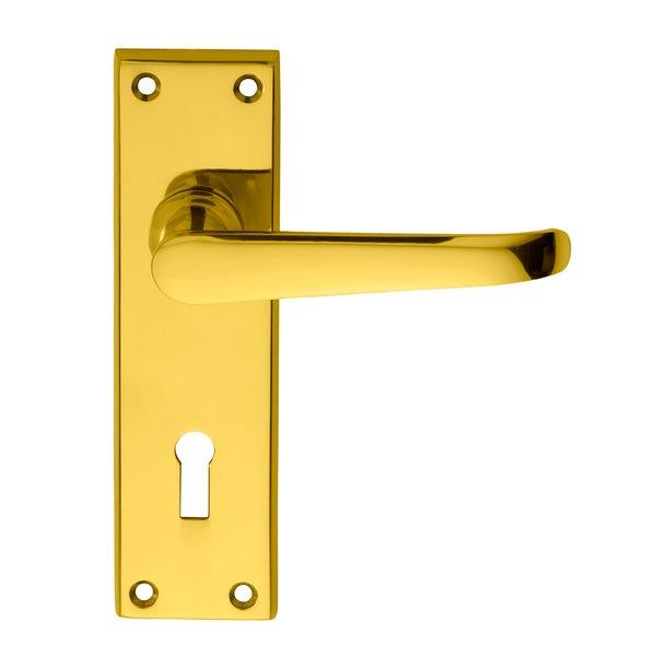 Victorian Ascot Lever on Lock Backplate Polished Brass DL30