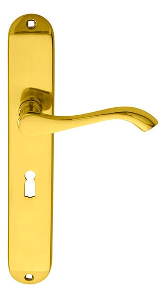 Andros Lever on Long Lock Backplate Lever On Backplate Carlisle Brass Polished Brass 