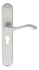 Andros Lever on Euro Lock Long Backplate (Latch & Hinges Included)