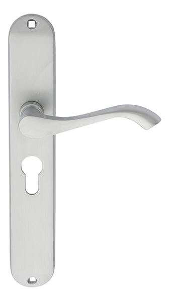 Andros Lever on Euro Lock Long Backplate (Latch & Hinges Included)
