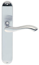 Andros Lever on Long Latch Backplate (Latch & Hinges Included)