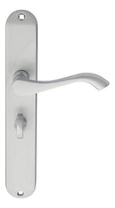Andros Lever on Long WC Backplate (Latch & Hinges Included)