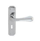Eden Lever on Lock Backplate (Latch & Hinges Included)