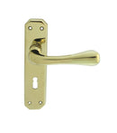 Eden Lever on Lock Backplate (Latch & Hinges Included)