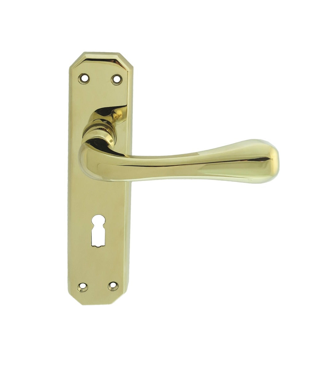 Eden Lever on Lock Backplate (Latch & Hinges Included)