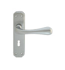 Eden Lever on Lock Backplate (Latch & Hinges Included)