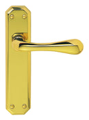 Eden Lever on Latch Backplate (Latch & Hinges Included)